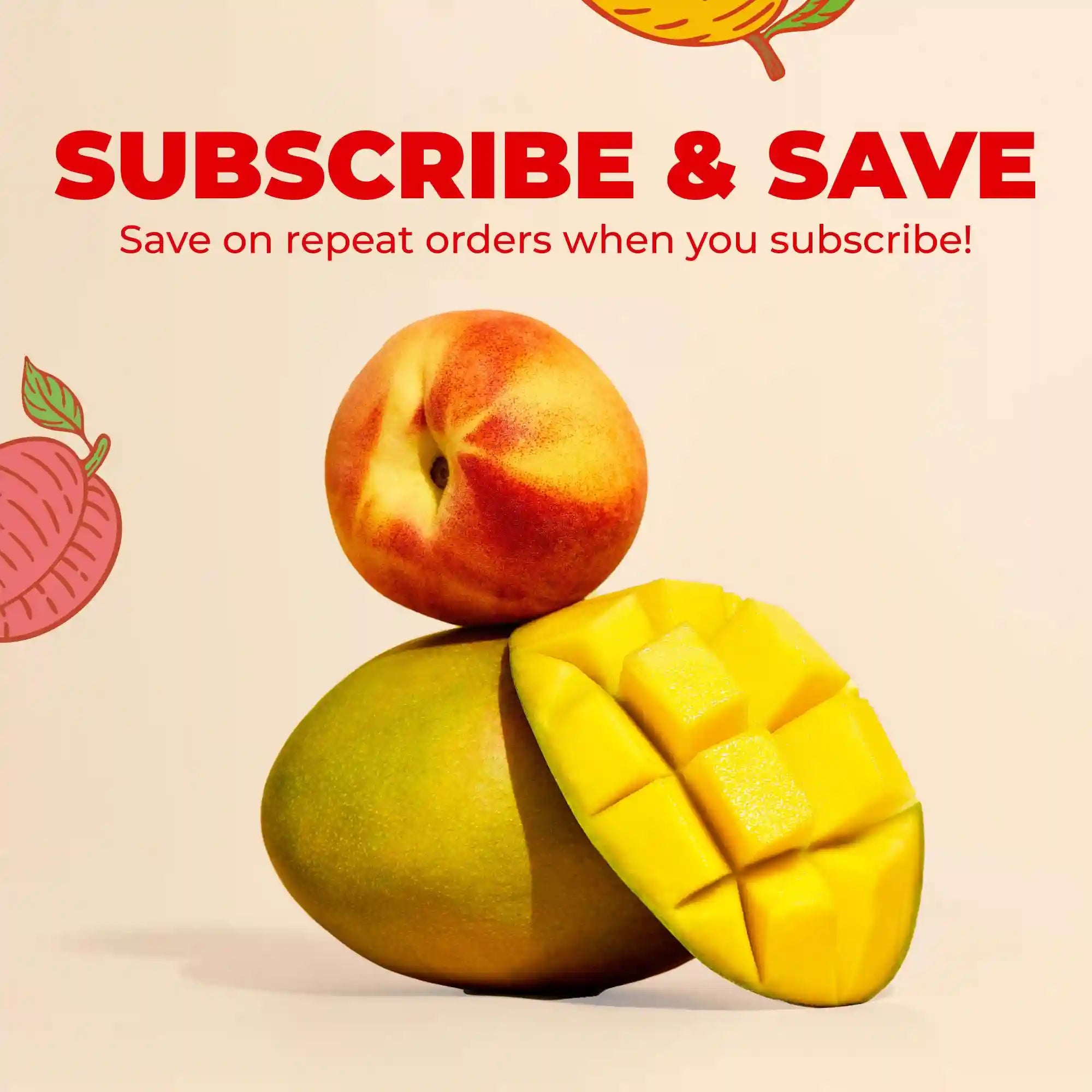 maryruthshops.com