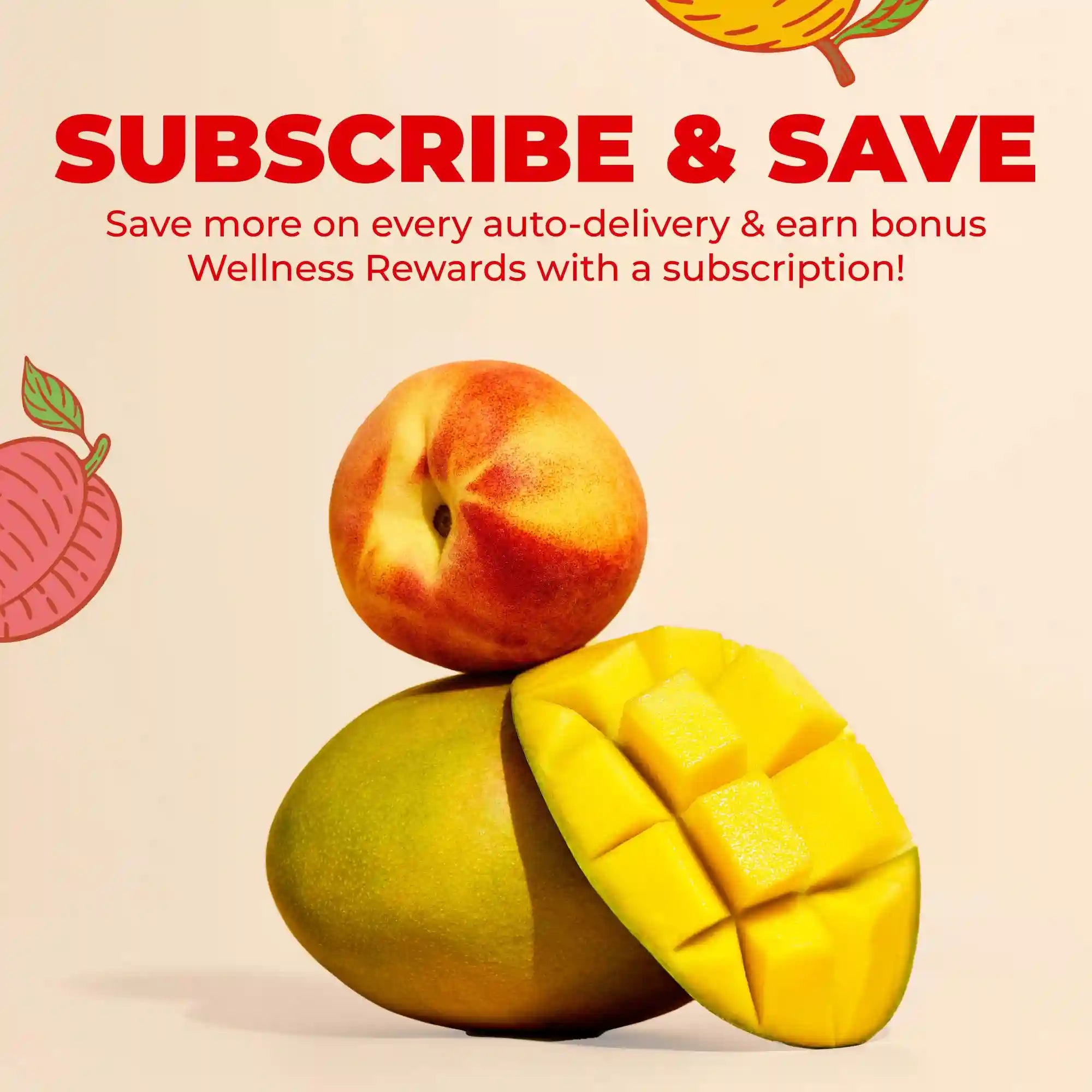 maryruthshops.com